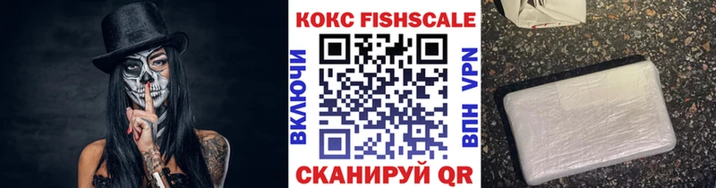 купить закладку  Тавда  COCAIN FishScale 