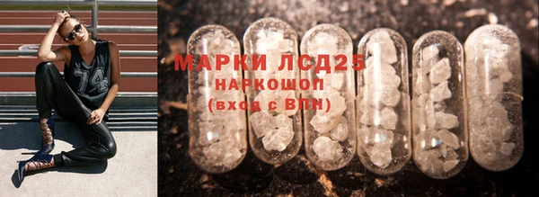гашик Арсеньев